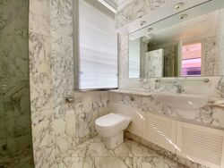 Four Seasons Park (D10), Condominium #563342851